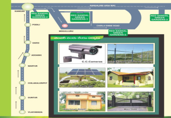  Agricultural Land for Sale in Kanigiri, Prakasam