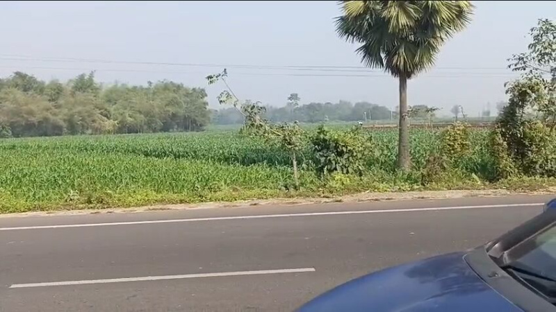  4555 Sq.ft. Residential Plot for Sale in Madhubani, Purnia