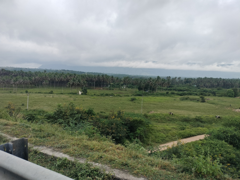 3 BHK 279 Cent Farm House for Sale in Vaniyambadi, Vellore