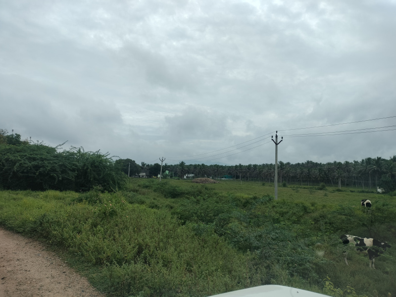 3 BHK 279 Cent Farm House for Sale in Vaniyambadi, Vellore