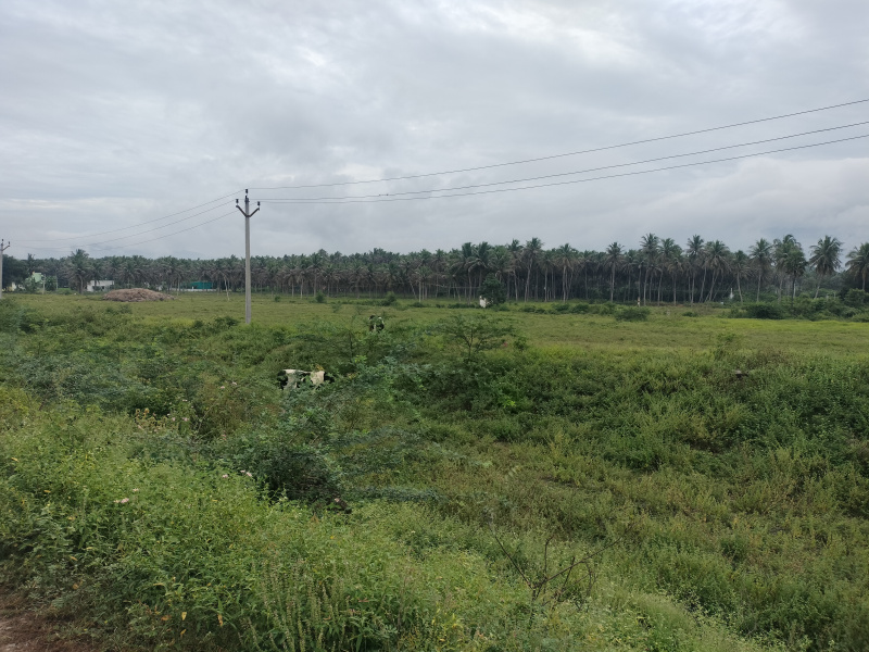 3 BHK 279 Cent Farm House for Sale in Vaniyambadi, Vellore