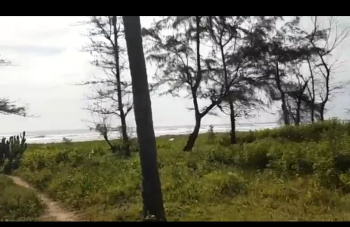  Commercial Land for Sale in Murdeshwar, Uttara Kannada