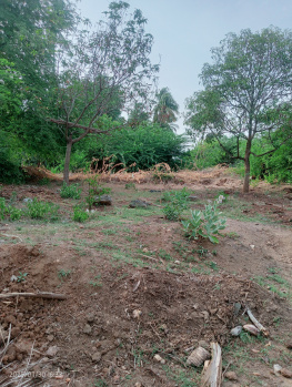  Agricultural Land for Sale in Inam, Karur