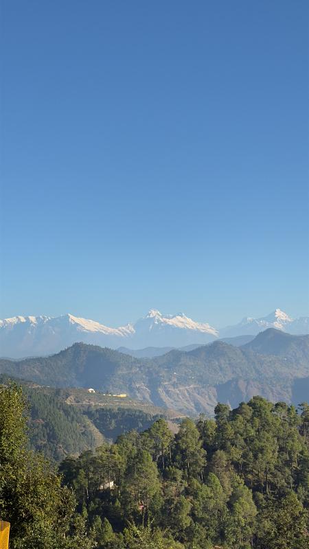  299 Sq. Yards Residential Plot for Sale in Shaharfatak, Almora