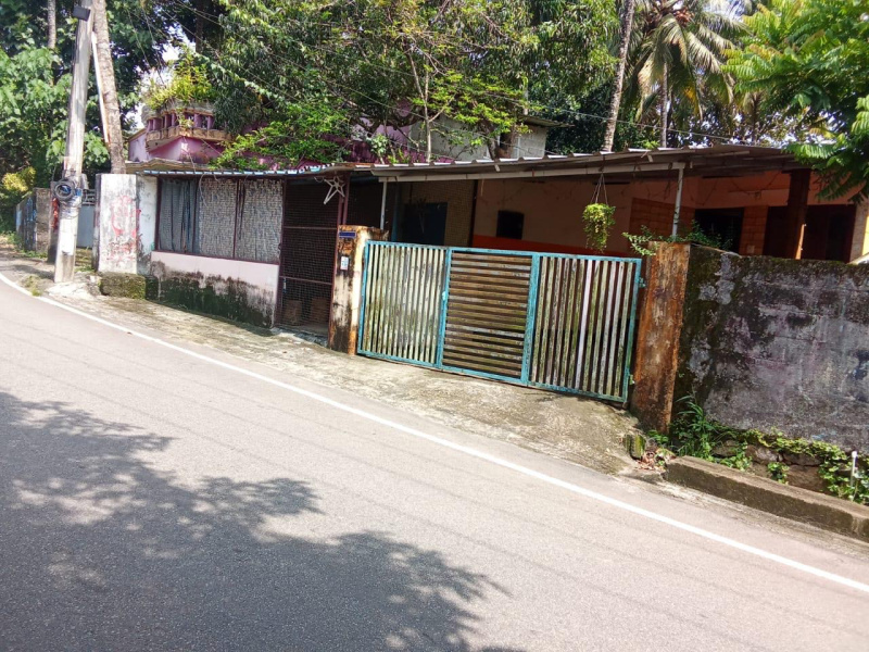 3 BHK 10 Cent House for Sale in Peyad, Thiruvananthapuram