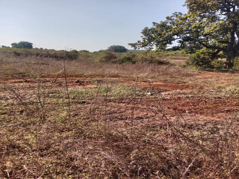  7 Acre Residential Plot for Sale in Dubey Colony, Katni