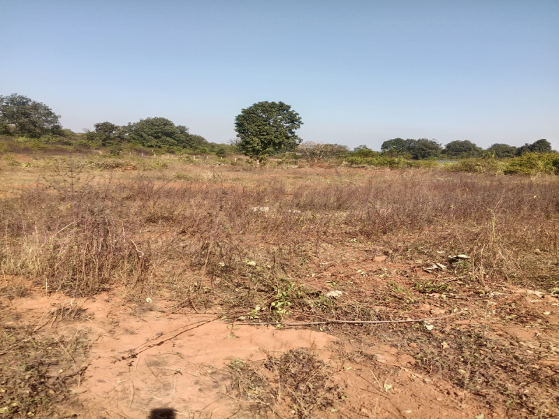  7 Acre Residential Plot for Sale in Dubey Colony, Katni