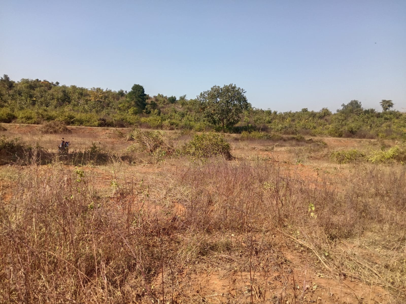  7 Acre Residential Plot for Sale in Dubey Colony, Katni