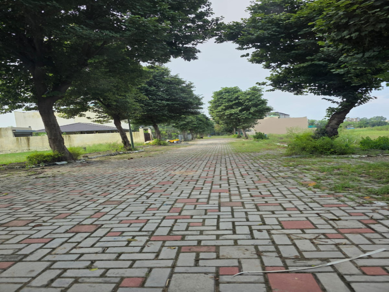  395 Sq. Yards Residential Plot for Sale in Ashiana Colony, Dera Bassi