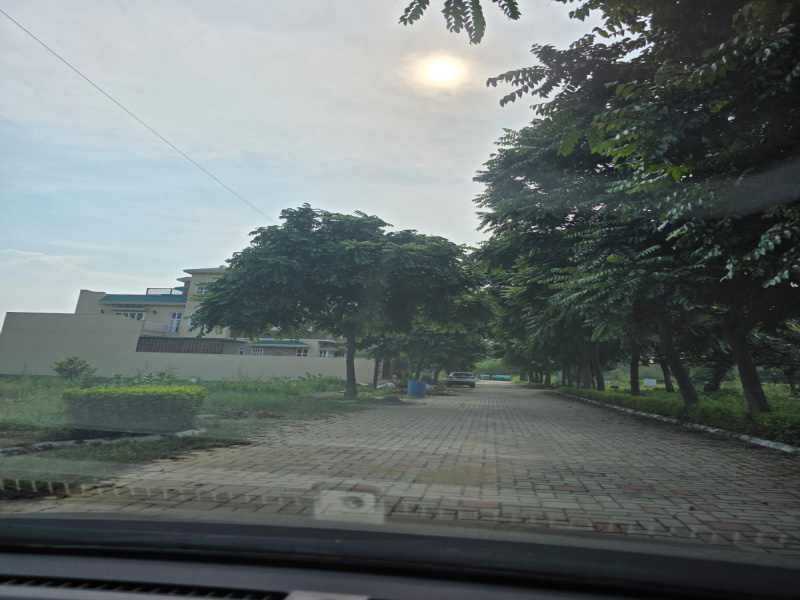  395 Sq. Yards Residential Plot for Sale in Ashiana Colony, Dera Bassi