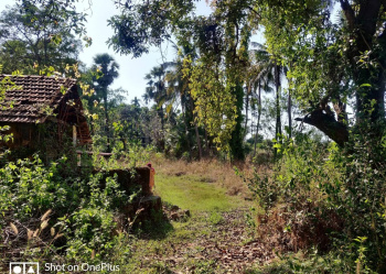  Agricultural Land for Sale in Padubidre, Udupi