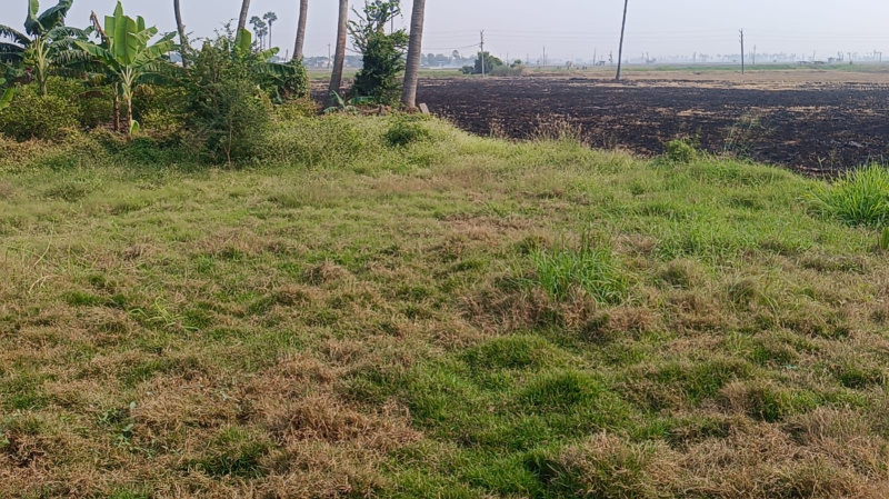 6 Cent Residential Plot for Sale in Tenali, Guntur