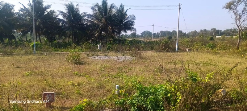 Additional image 2 of Kadakola, Mysore