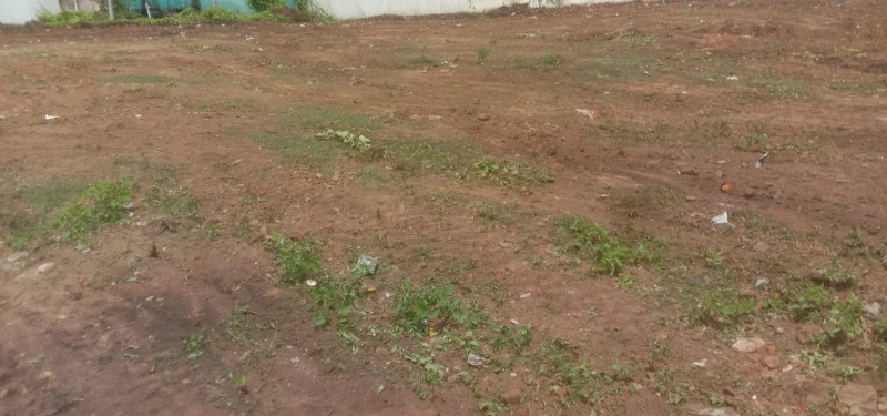  12467 Sq.ft. Residential Plot for Sale in Pallavaram, Chennai