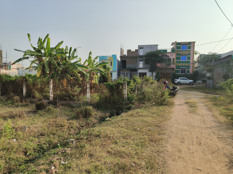  1950 Sq.ft. Residential Plot for Sale in Ankuli, Berhampur