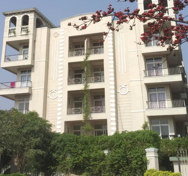 1 BHK 600 Sq.ft. Apartment for Sale in Yamuna Expressway, Greater Noida