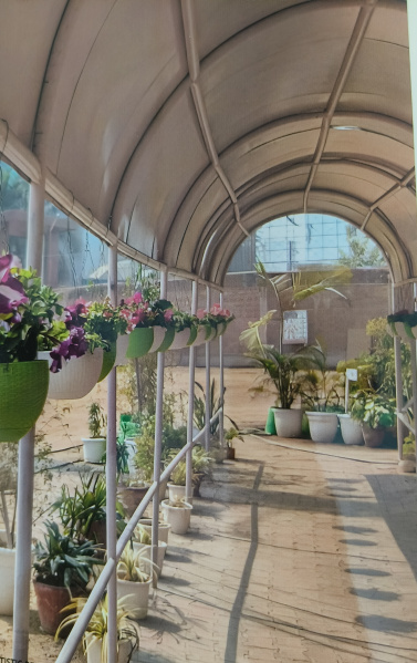 3.5 BHK 107 Sq. Meter Apartment for Sale in Techzone 4, Greater Noida