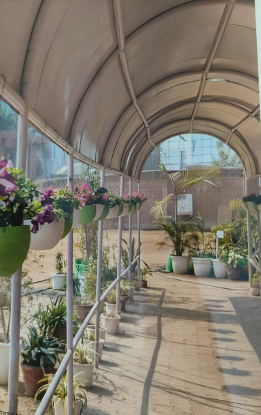 2 BHK 997 Sq.ft. Apartment for Sale in Techzone 4, Greater Noida