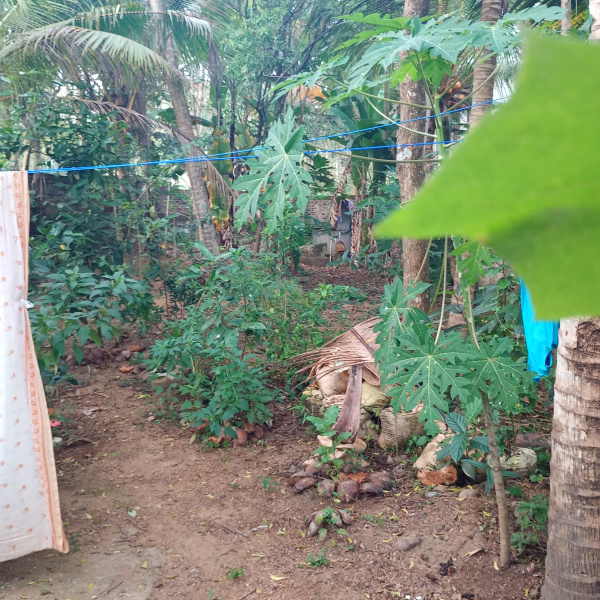 3 BHK 10 Cent House for Sale in Kuzhithurai, Kanyakumari