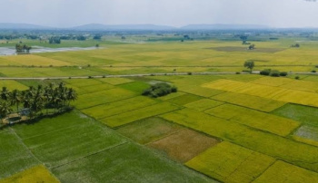  Agricultural Land for Sale in Dehlon, Ludhiana