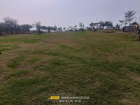 1 RK Farm House for Sale in Gairatpur Bas, Gurgaon