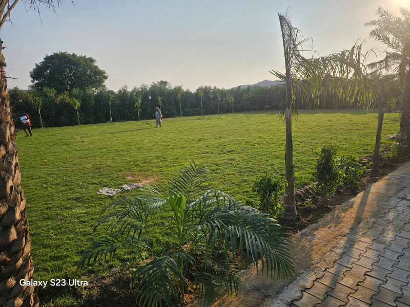  3000 Sq. Yards Agricultural/Farm Land for Sale in Manesar, Gurgaon