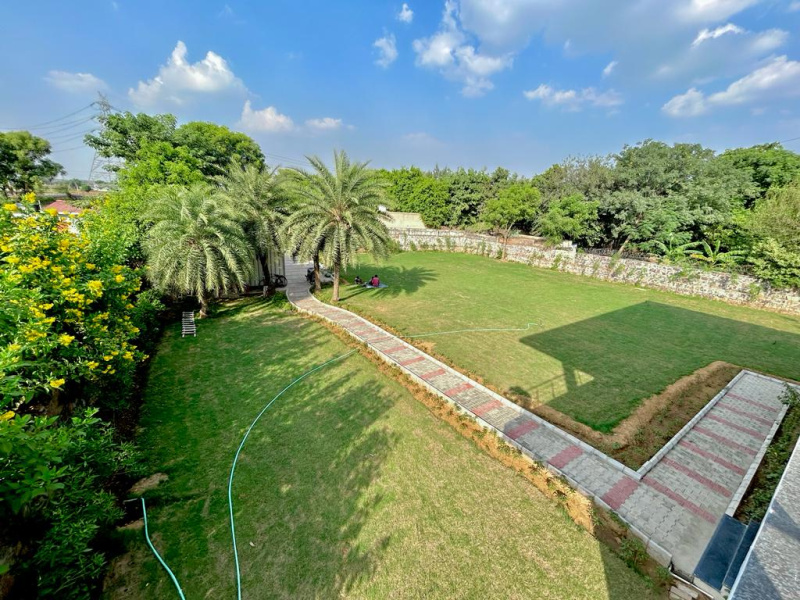  2420 Sq. Yards Agricultural/Farm Land for Sale in Pachgaon, Gurgaon