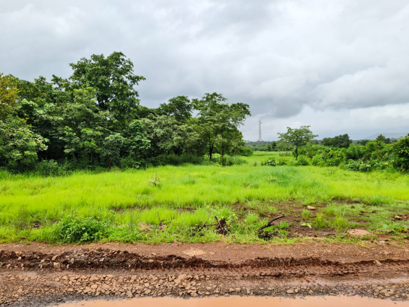 13 Guntha Agricultural/Farm Land for Sale in Mangaon, Raigad