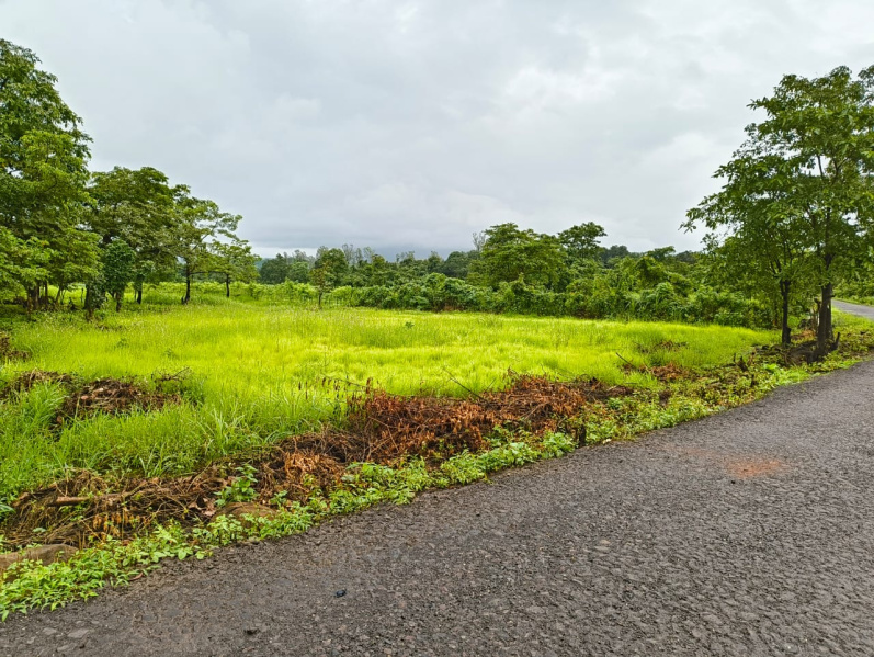  13 Guntha Agricultural/Farm Land for Sale in Mangaon, Raigad