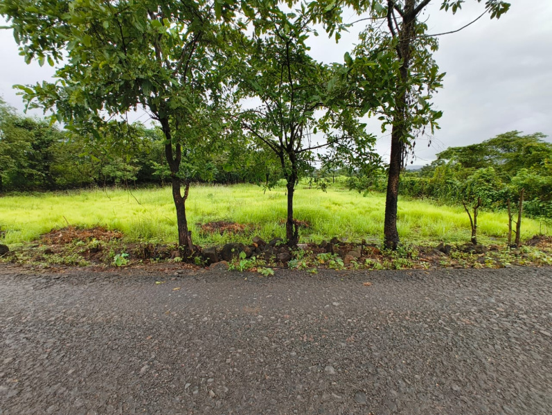  13 Guntha Agricultural/Farm Land for Sale in Mangaon, Raigad