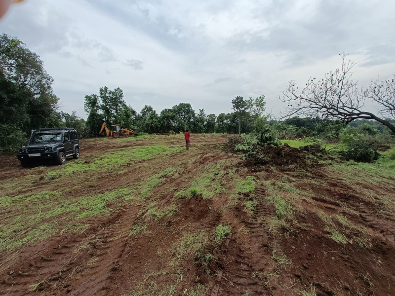  63 Guntha Agricultural/Farm Land for Sale in Mangaon, Raigad