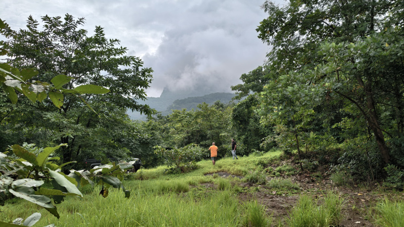  3 Acre Agricultural/Farm Land for Sale in Mangaon, Raigad