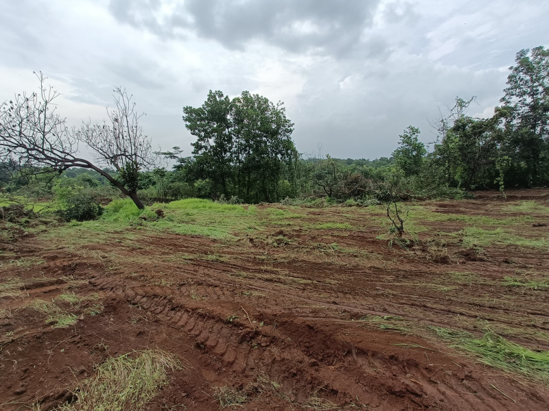 3 Acre Agricultural/Farm Land for Sale in Mangaon, Raigad