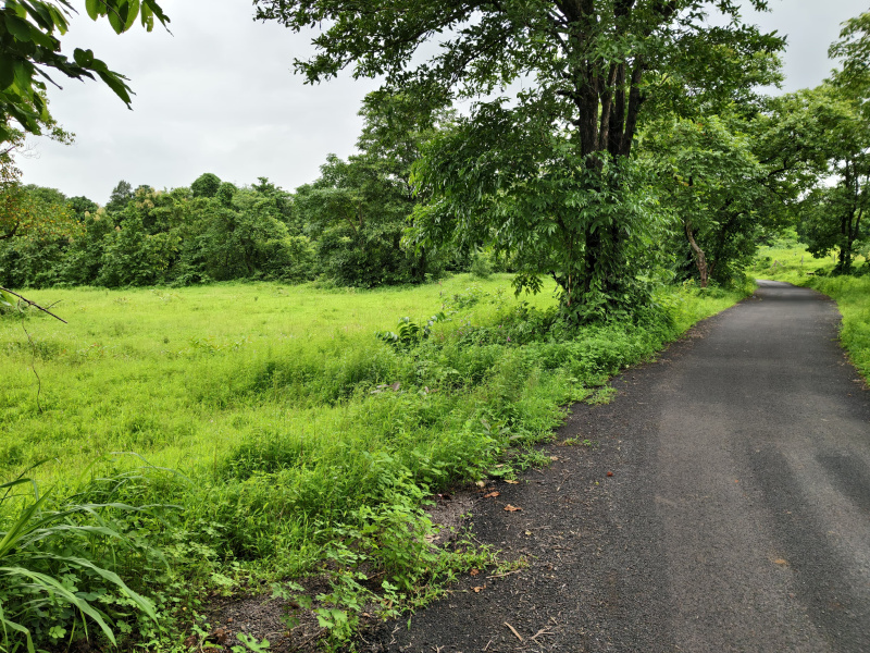  69 Sq.ft. Agricultural/Farm Land for Sale in Mangaon, Raigad
