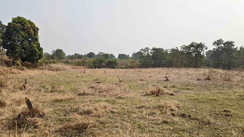  69 Sq.ft. Agricultural/Farm Land for Sale in Mangaon, Raigad