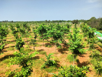  Agricultural Land for Sale in Maduranthakam, Chengalpattu