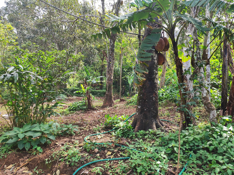  1 Acre Commercial Land for Sale in Munnar, Idukki