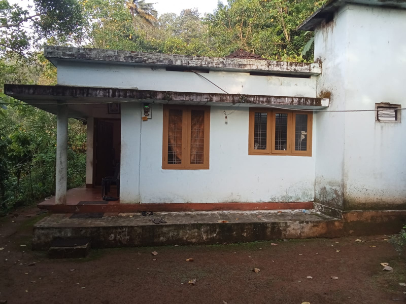  4 Ares Agricultural/Farm Land for Sale in Chithirapuram, Idukki