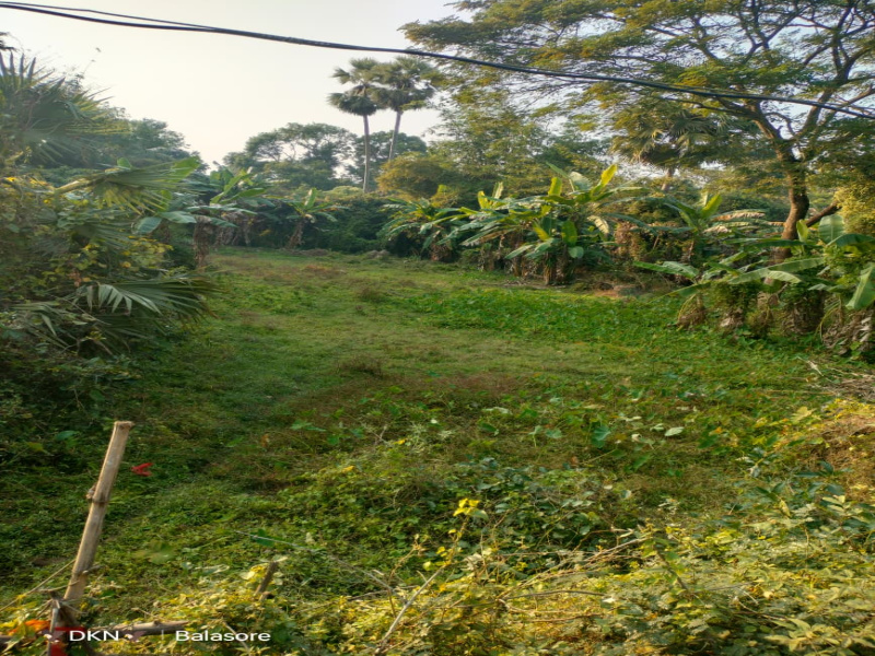  21 Dismil Residential Plot for Sale in Motiganj, Baleswar
