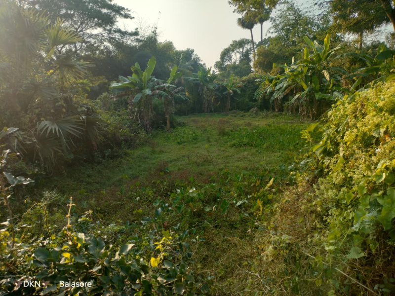  21 Dismil Residential Plot for Sale in Motiganj, Baleswar