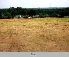  Agricultural Land for Sale in Samdari, Barmer