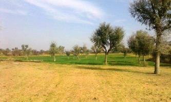  Agricultural Land for Sale in Jai Narayan Vyas Colony, Bikaner
