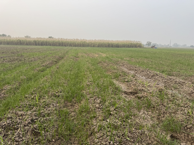  24 Bigha Agricultural/Farm Land for Sale in Vadoli, Surat