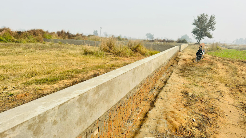  1000 Sq.ft. Residential Plot for Sale in Maniram, Gorakhpur