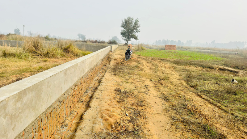  1000 Sq.ft. Residential Plot for Sale in Maniram, Gorakhpur