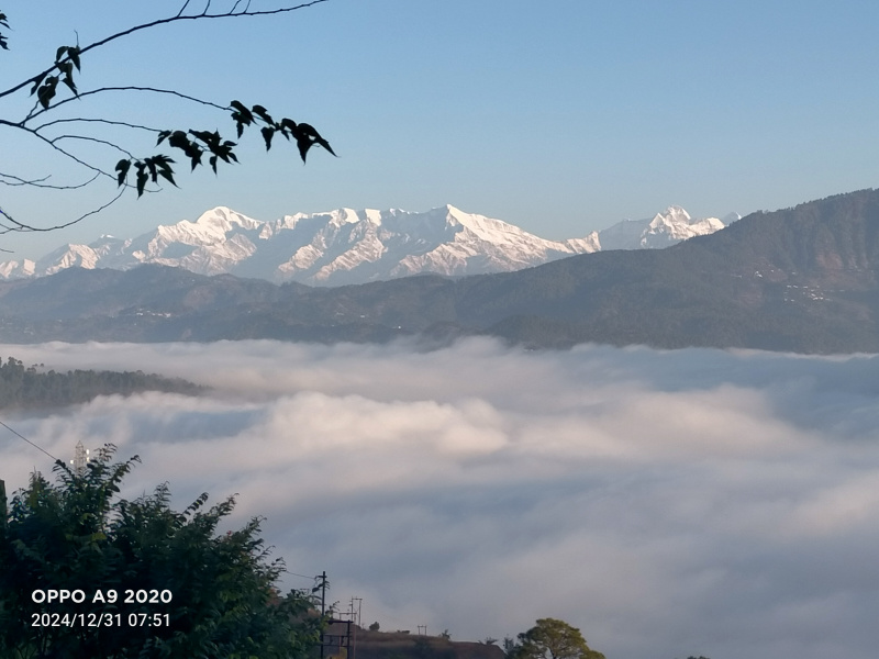  2160 Sq.ft. Residential Plot for Sale in Bhikiyasen, Almora