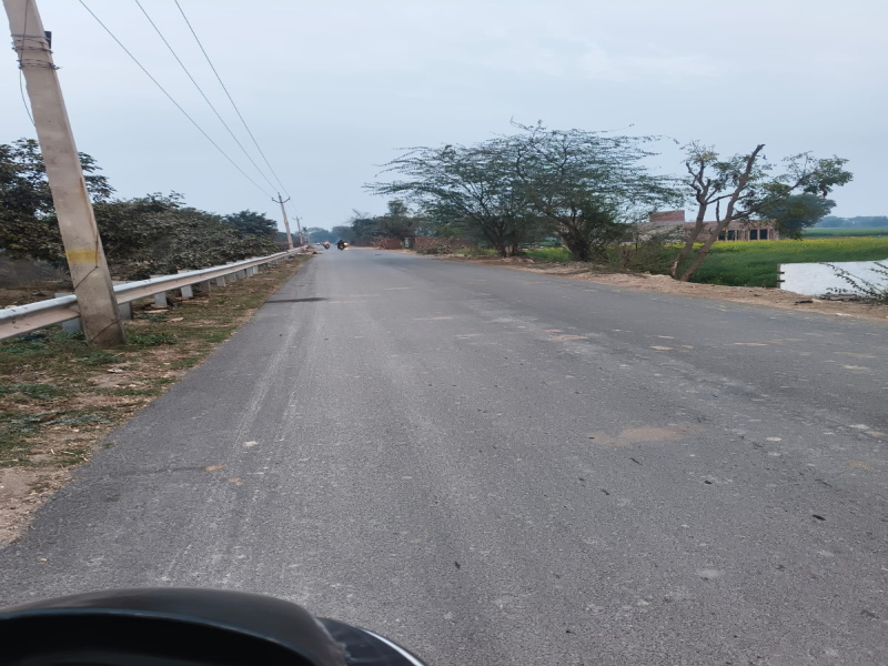  1 Bigha Agricultural/Farm Land for Sale in Alwar Bridge, Mathura