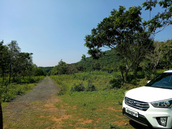  Agricultural Land for Sale in Anaikatti, Coimbatore