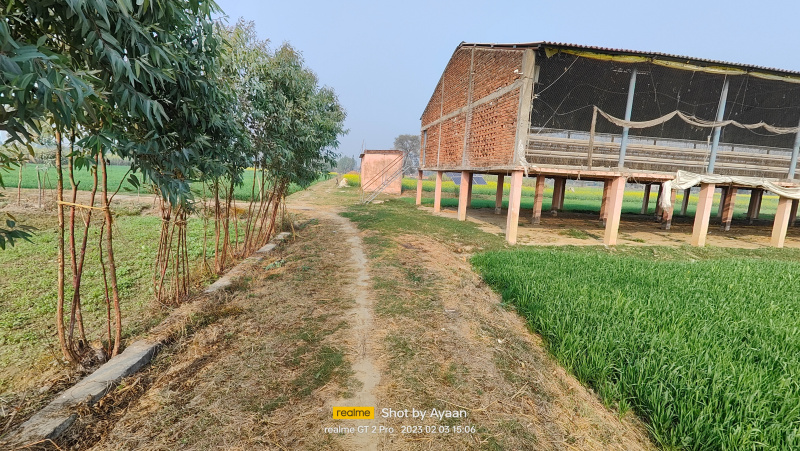  14 Biswa Agricultural/Farm Land for Sale in Horsohiya, Basti