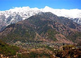  Agricultural Land for Sale in Rajpur, Palampur